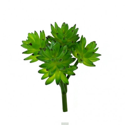 Bouquet de suculenta Echeveria artificial x22
