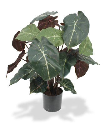 Planta Syngonium artificial 60 cm 