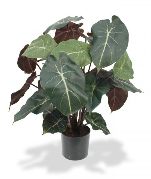 Sztuczny Syngonium roślina (60 cm)