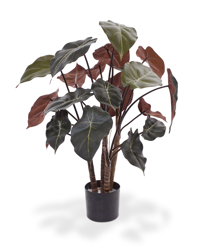 Dirbtinis augalas Singonis 60 cm