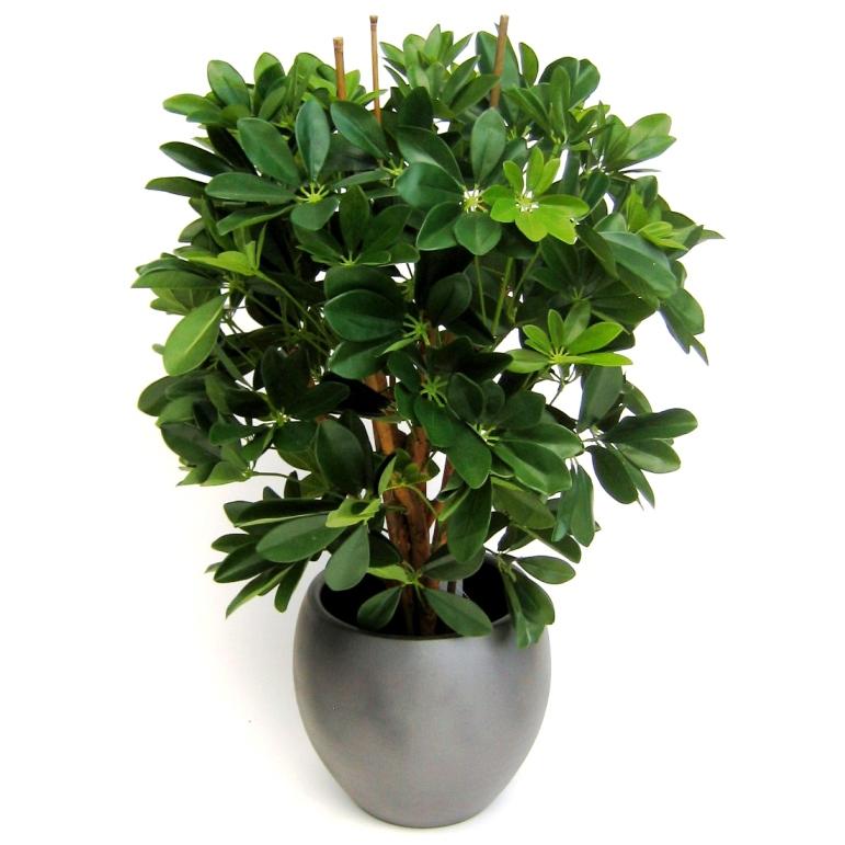 Plante artificielle Schefflera (80 cm)