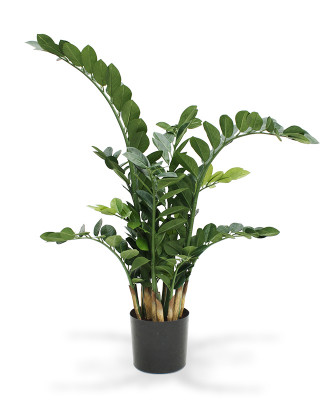 Dirbtinis Zamiokulkas Dirbtinis augalas 100 cm