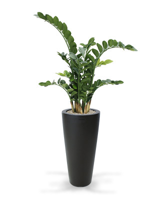 Artificial Zamioculcas artificial plant 100 cm