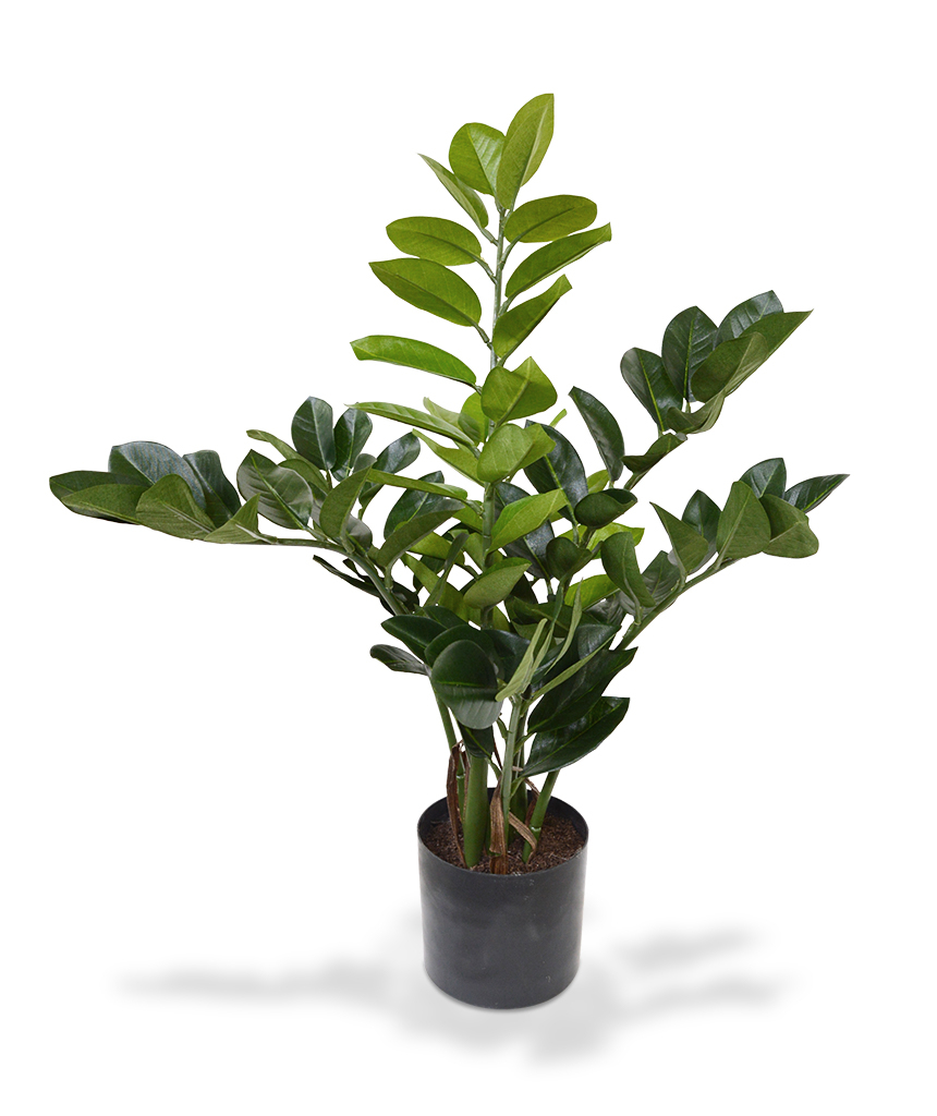 Dirbtinis augalas Zamiokulkas 55 cm