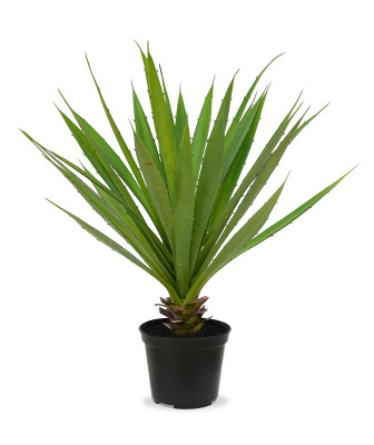 Planta Yucca artificial 40 cm no pote