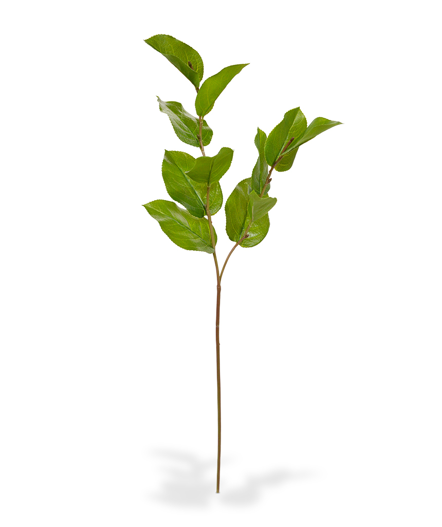 Dirbtinis augalas Puošnioji Bruknuolė 65 cm