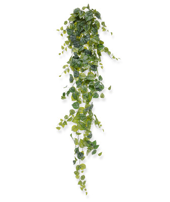 Planta pendurada Scindapsus Pictus artificial 170 cm 