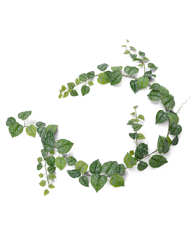 Kunstplant Scindapsus Pictus slinger (180 cm)