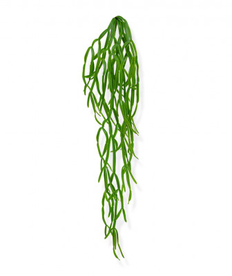 Mākslīgais rhiņsalis paradoksa mākslīgais trailing augs 75 cm