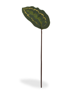 Konstgjord Kalatea Roseopicta kvist (50 cm)