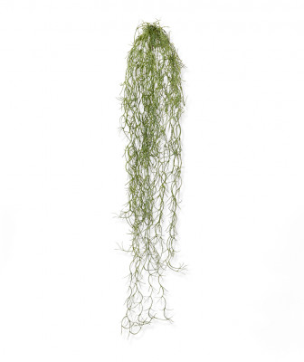 Dirbtinė Tilandsija Dirbtinė augalas 75 cm
