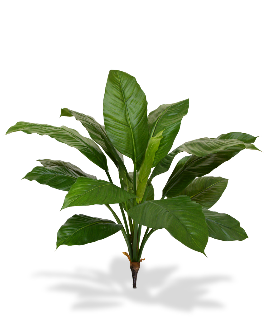 Dirbtinis augalas Dirbtinė Vėzdūnė karališka Dirbtinė puokštė 80 cm žalia