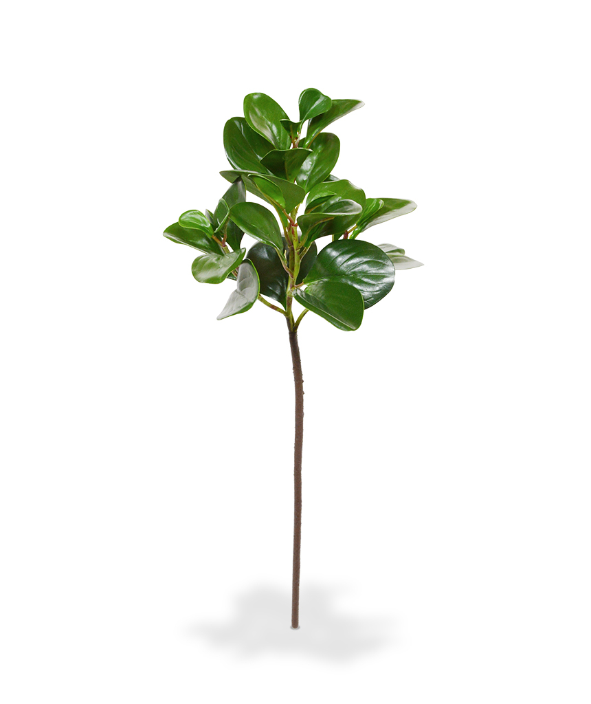 Kunstbloem Peperomia tak (50 cm)