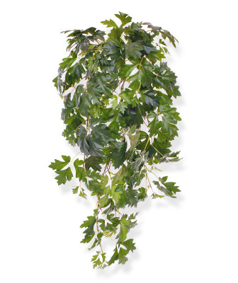 Mākslīgais cissus Deluxe (80 cm)