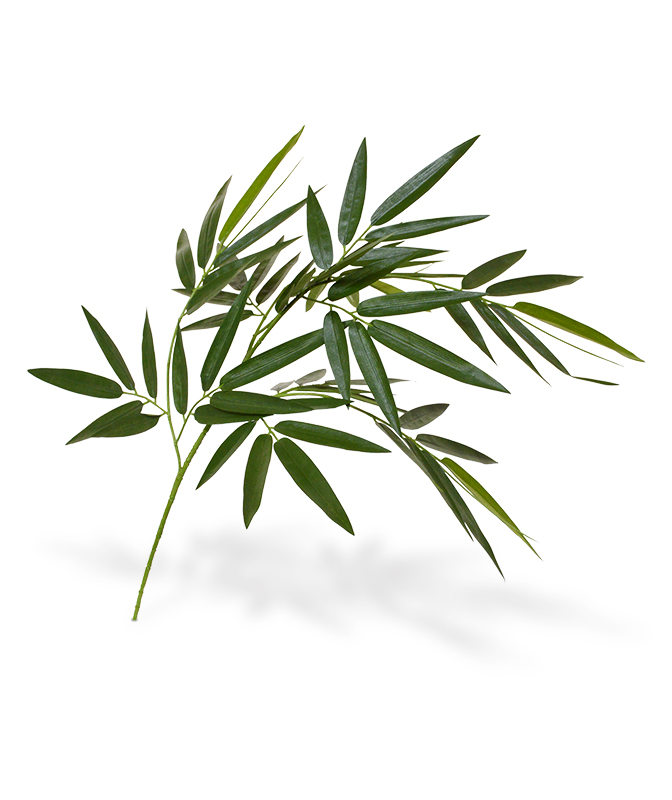 Dirbtinis augalas Bambukas 60 cm