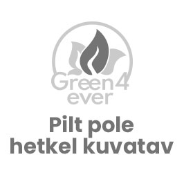 Artificial Birch Branch 70 cm fire retardant (G4E_00644)