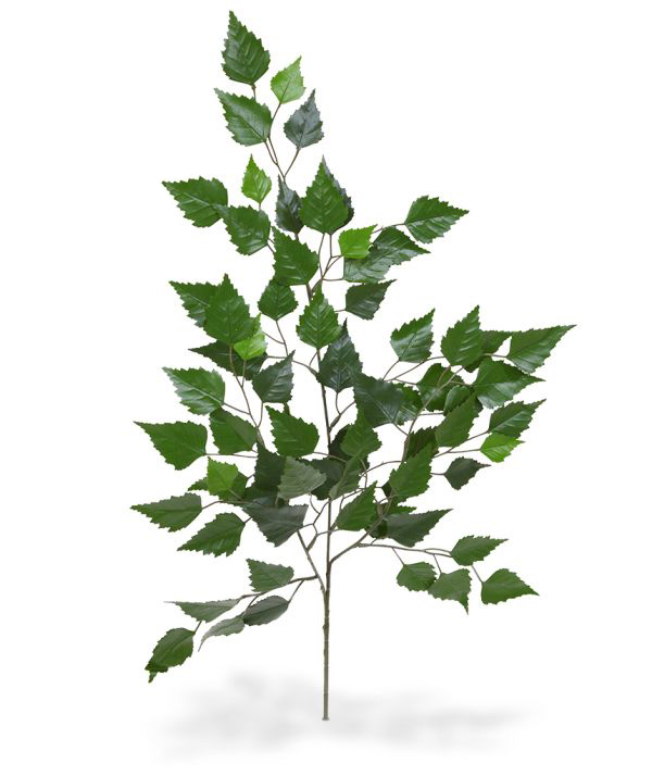 Tehis Tulekindel kaseoks (65 cm)