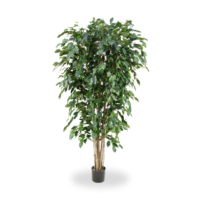 Artificial Ficus Exotica Deluxe 180 cm green FR Fire Retardant