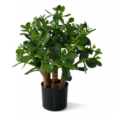 Planta suculenta Crassula artificial 40 cm