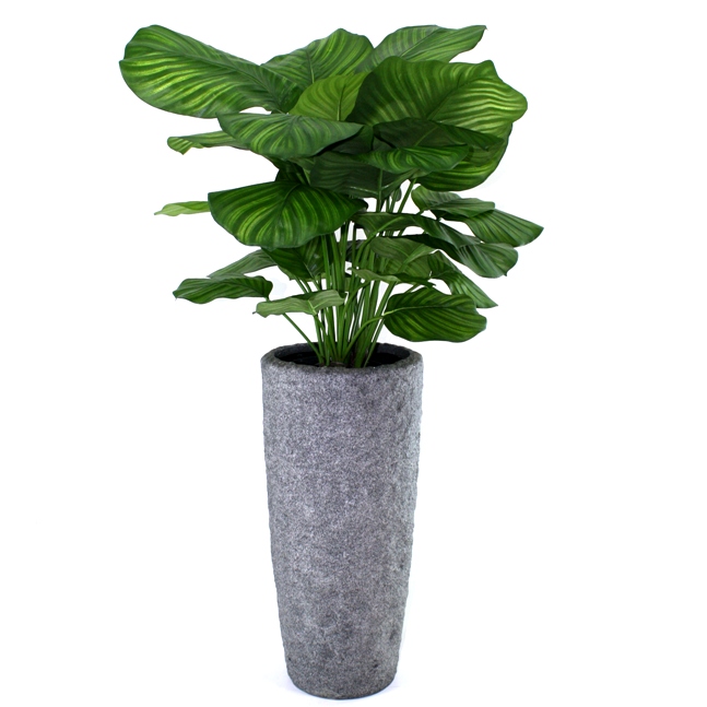 Artificial Calathea Fasciata (80 cm)