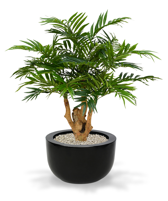 Dirbtinis augalas Chamedorėja Palmė 95 cm