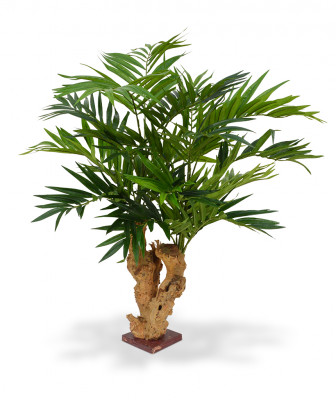 Mākslīgā daiļā hamedoreja palma (65 cm)
