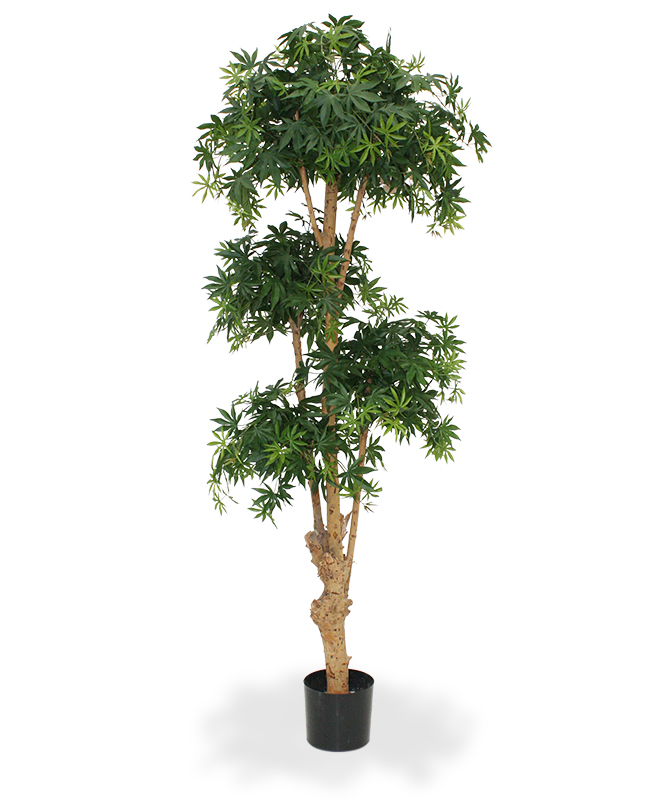 Artificial Acer Bonsai (170 cm)