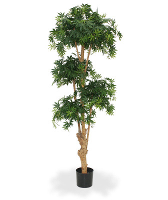 Mākslīgais kļavas bonsai koks Deluxe (170 cm)