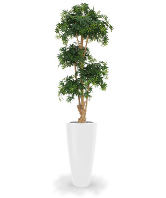 Mākslīgais kļavas bonsai koks Deluxe (170 cm)