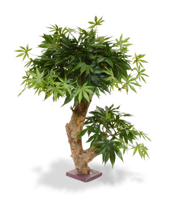 Dirbtinis klevo bonsai 60 cm žalia