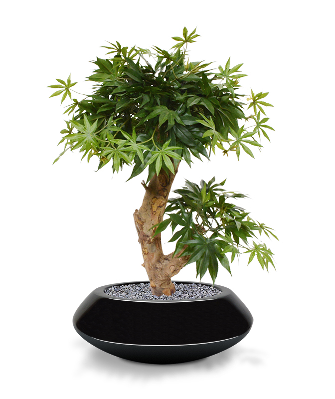 Mākslīgais kļavas bonsai koks (60 cm)