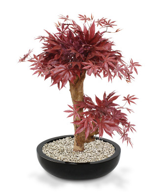 Dirbtinis klevo bonsai 60 cm bordo