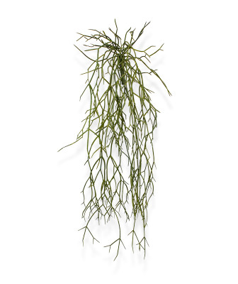 Planta rasteira Rhipsalis Micrantha artificial 55 cm 