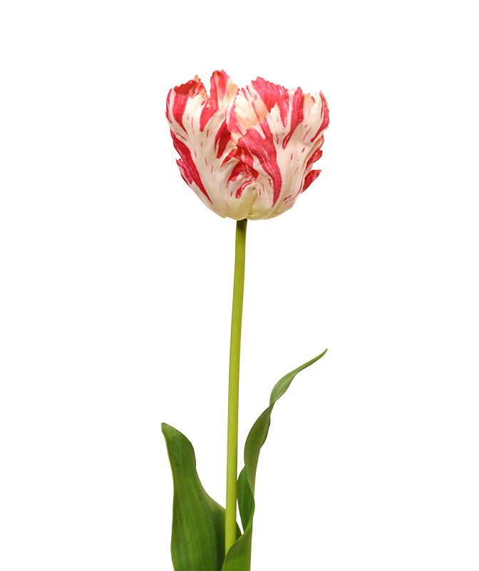 Konstgjord Tulpan Van Gogh (70 cm)