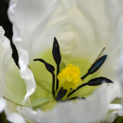 Mākslīgā tulpe (70 cm)