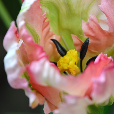 Mākslīgā tulpe (70 cm)