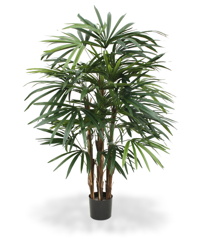 Kunstpuu Vitspalm (100 cm)