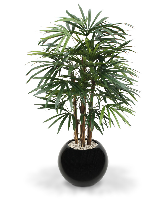 Kunstpuu Vitspalm (100 cm)