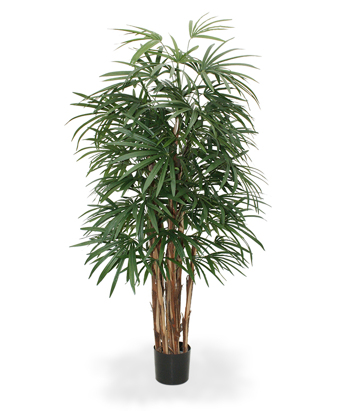Keinotekoinen Palmu (160 cm) Keinotekoinen Palmu (160 cm)