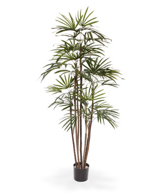 Mākslīgais Raphis Mākslīgais Palmtree Promo 170 cm