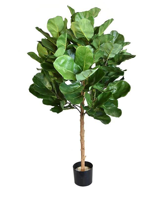 Planta artificial Bola Royal Lyrata Deluxe (105 cm)