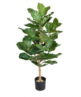Lüüra-viigipuu (90 cm)