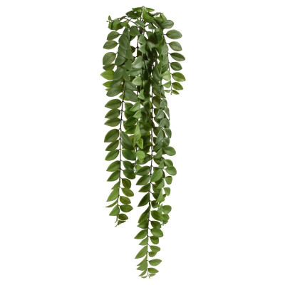 Locustas Pakabinamas augalas 90cm žalias