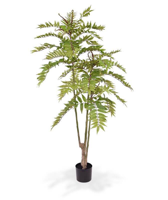 Kunst Mahoonia (160 cm)