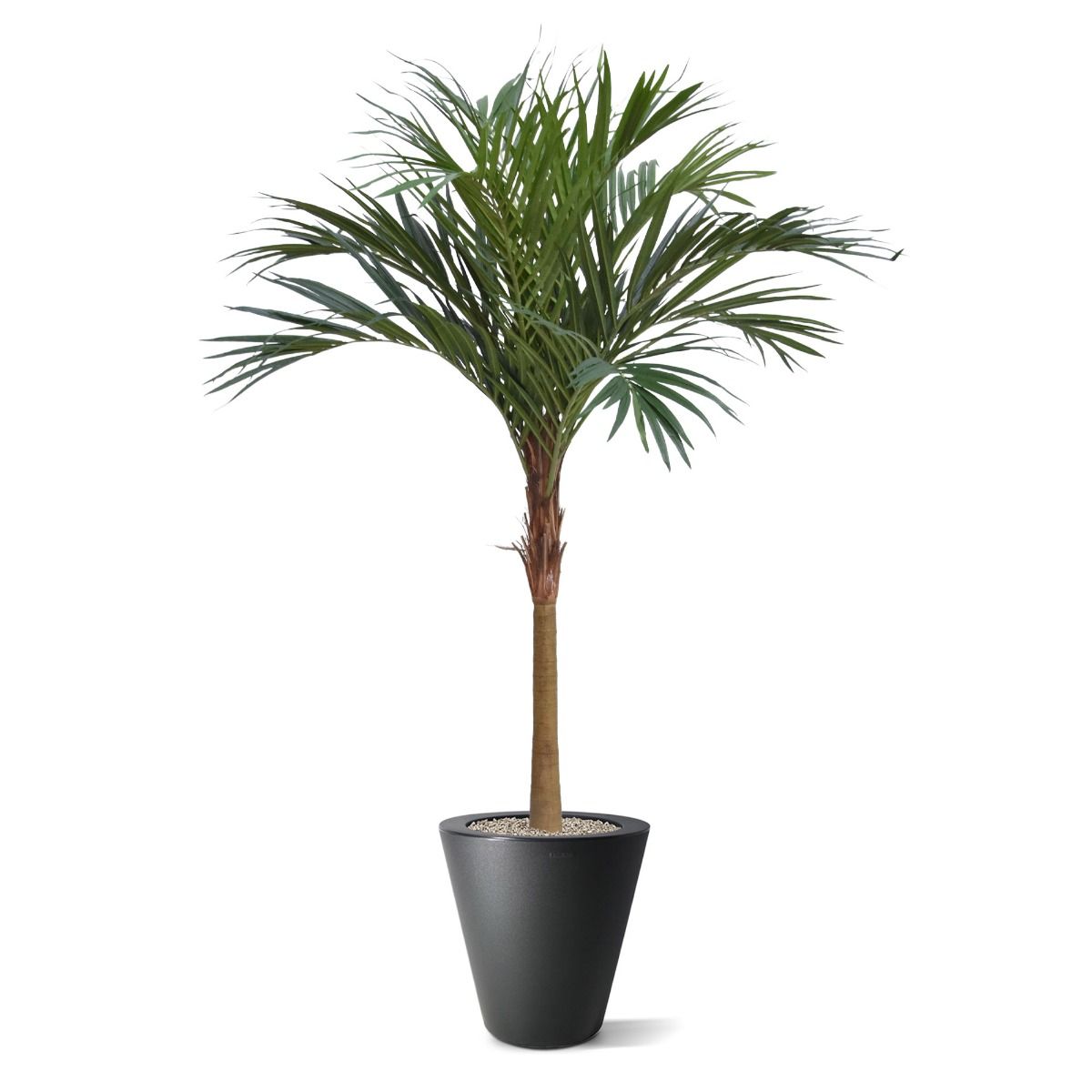 Konstgjord Bäckpalm (225 cm)