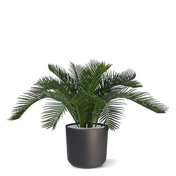 Plastmasas Mākslīgā Cycas palma Deluxe (50 cm)