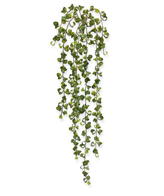 Planta pendurada Peperomia Prostrata artificial 80 cm 