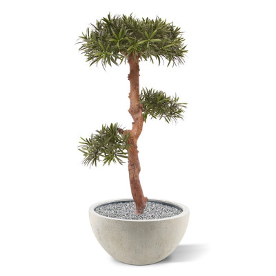 Mākslīgais Podocarpus bonsai koks (105 cm) UV