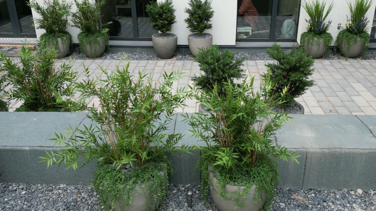 TOP 10 reasons to pick an artificial plant