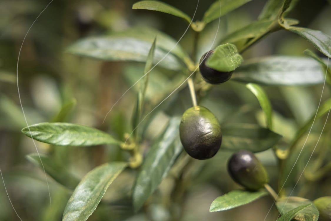 Hållbara realistiska konstväxter för utomhusbruk